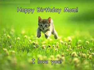 Happy Birthday Meme For Mom