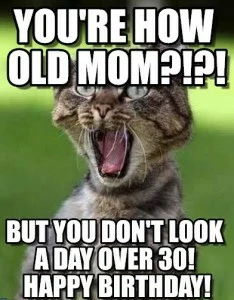 Happy Birthday Meme Funny Cat