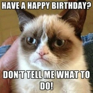 Happy Birthday Gif Cat Funny