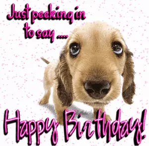 Happy Birthday Gif Images Funny Dog